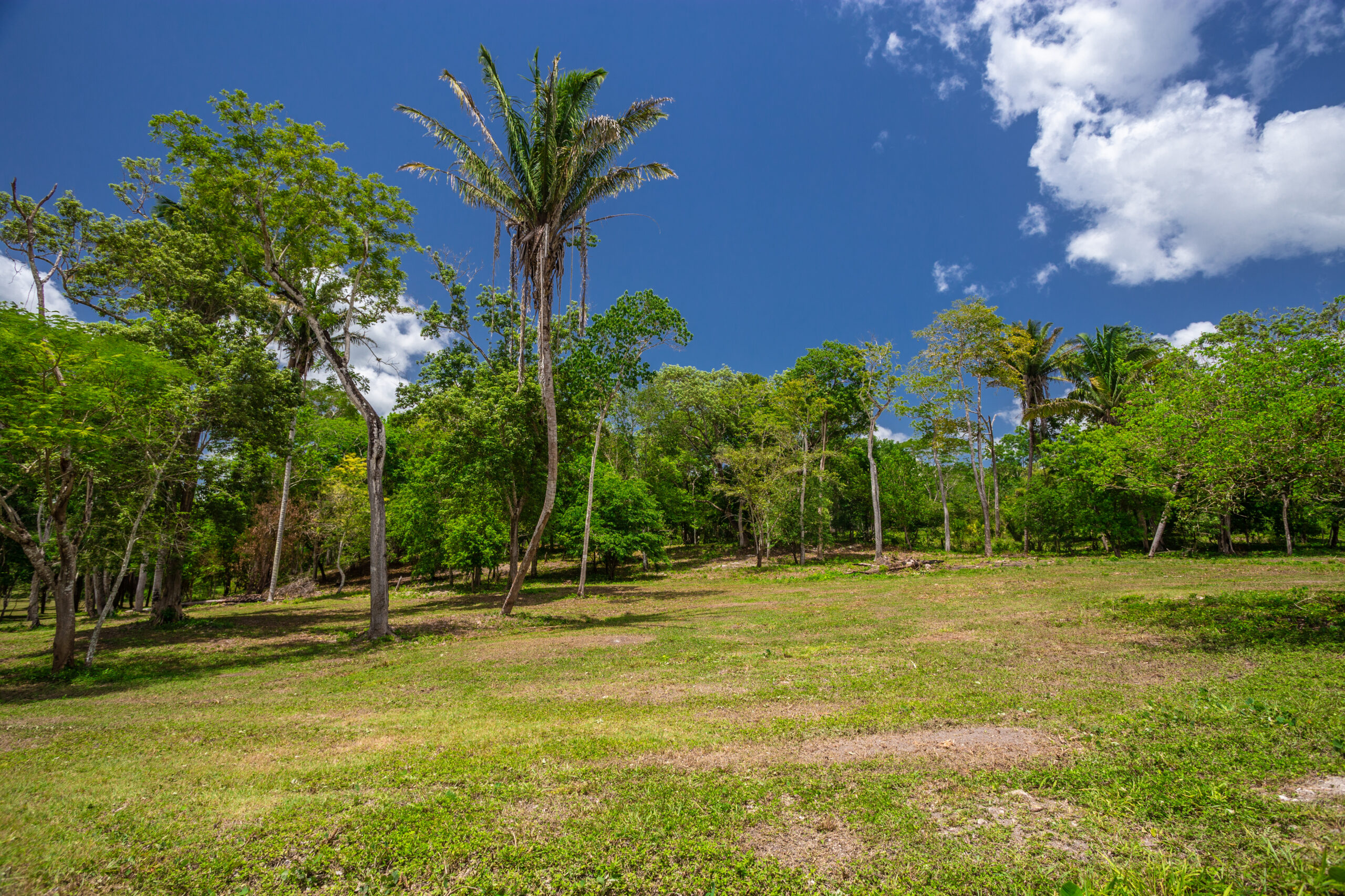 Mopan River Estates