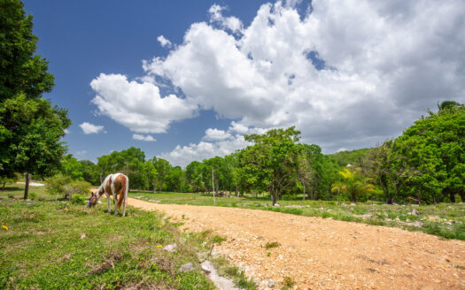 Mopan River Estates